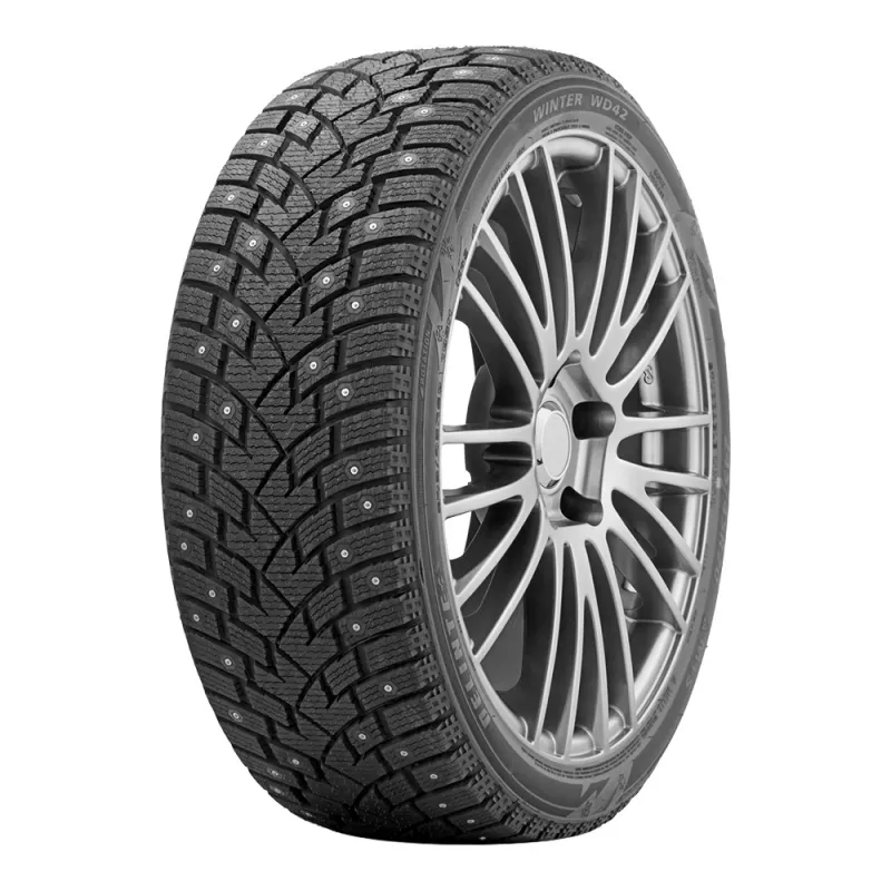 Delinte Winter WD42