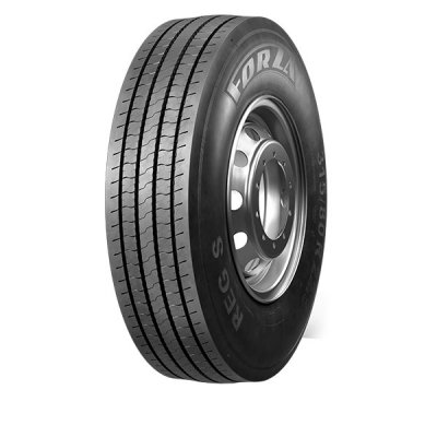 Forza Reg S